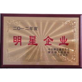 榮(rong)譽證(zheng)書(shu)